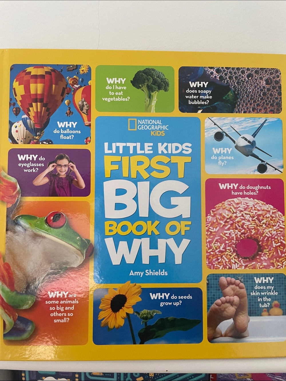 National Geographic Kids Little Kids First Big Book of Why - Yellow & Blue